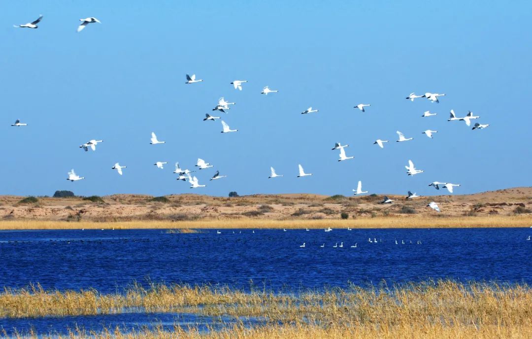 _cgi-bin_mmwebwx-bin_webwxgetmsgimg__&MsgID=4625836630592953067&skey=@crypt_3ee39f6d_9155b19e692dbc3dde00af3f1270a04b&mmweb_appid=wx_webfilehelper.jpg 圖片