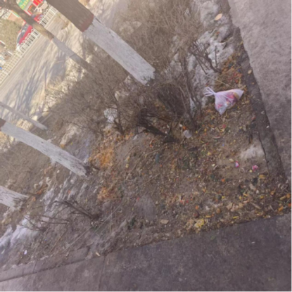 1740972592328019560.png image.png